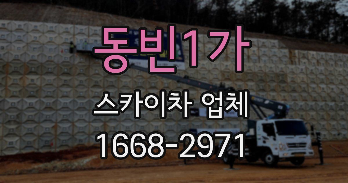 동빈1가 스카이차 업체