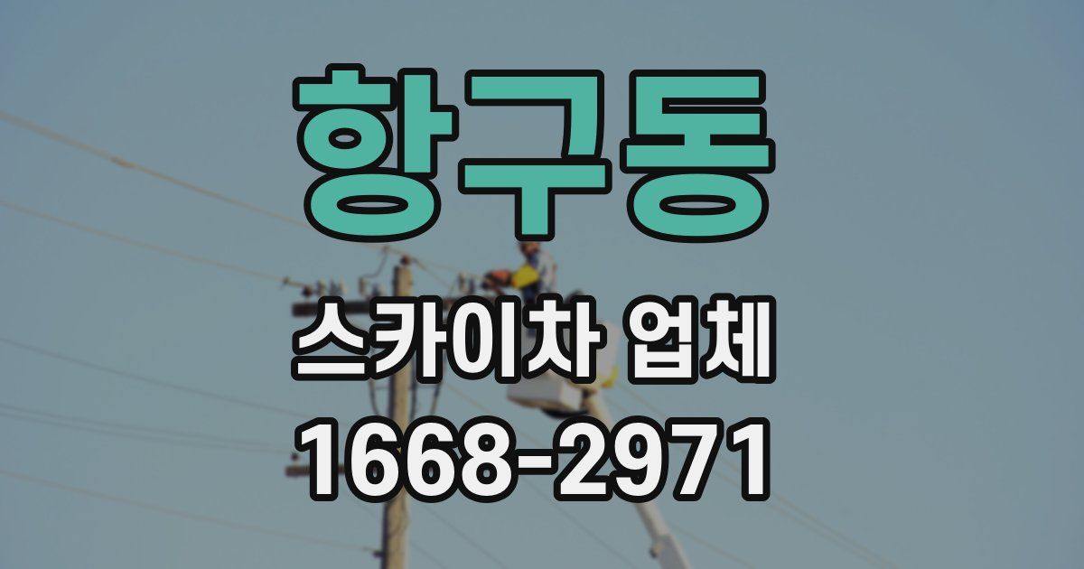 항구동 스카이차 업체