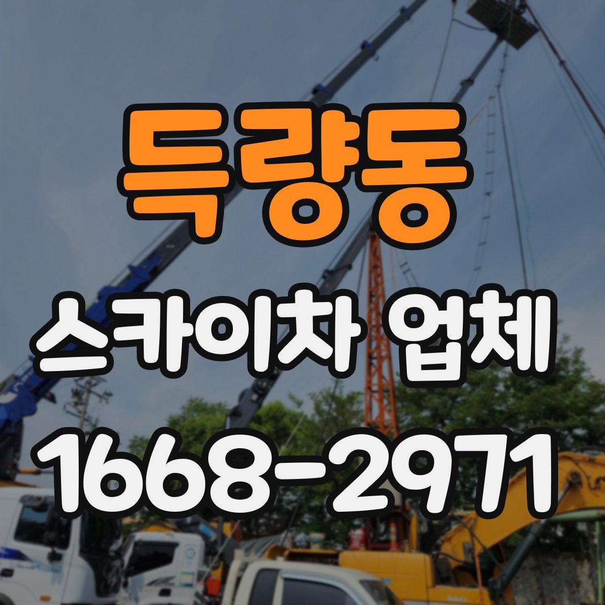 득량동 스카이차 업체
