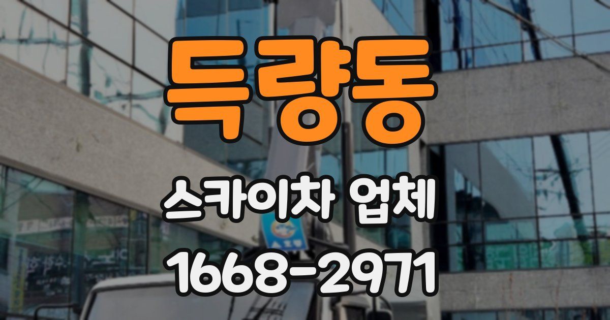 득량동 스카이차 업체