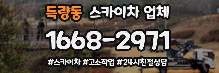 득량동 스카이차 업체