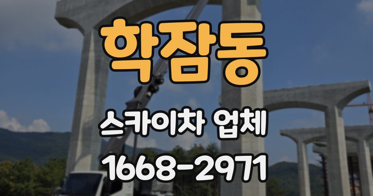 학잠동 스카이차 업체