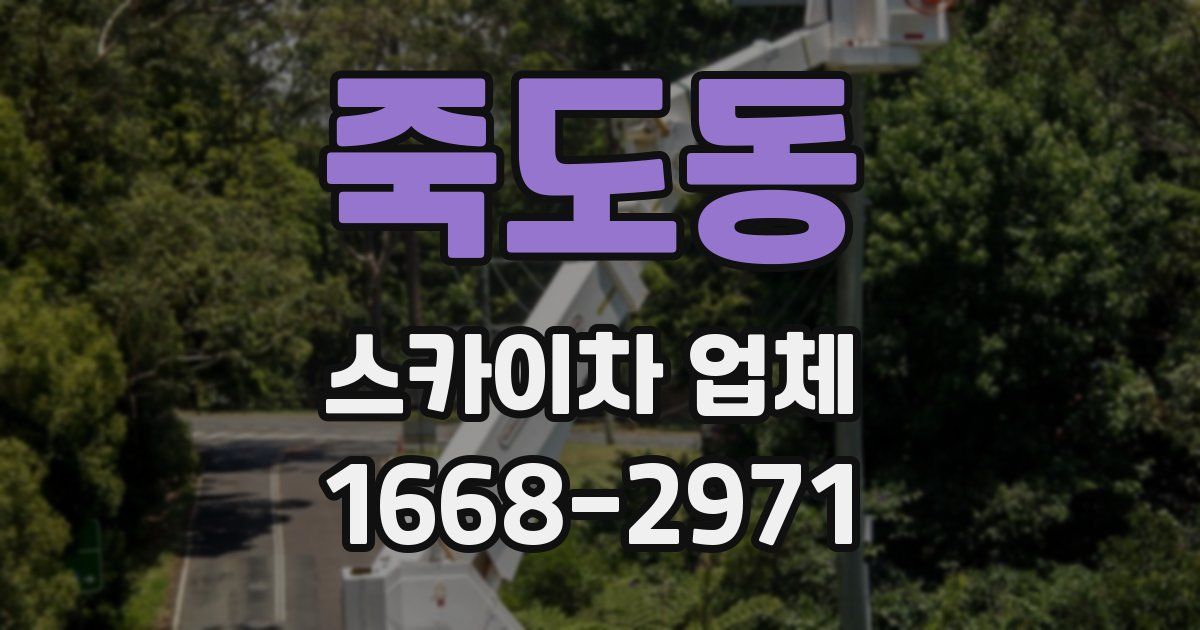 죽도동 스카이차 업체