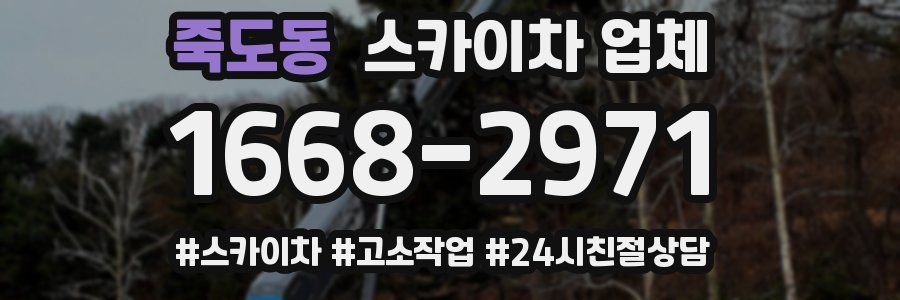 죽도동 스카이차 업체