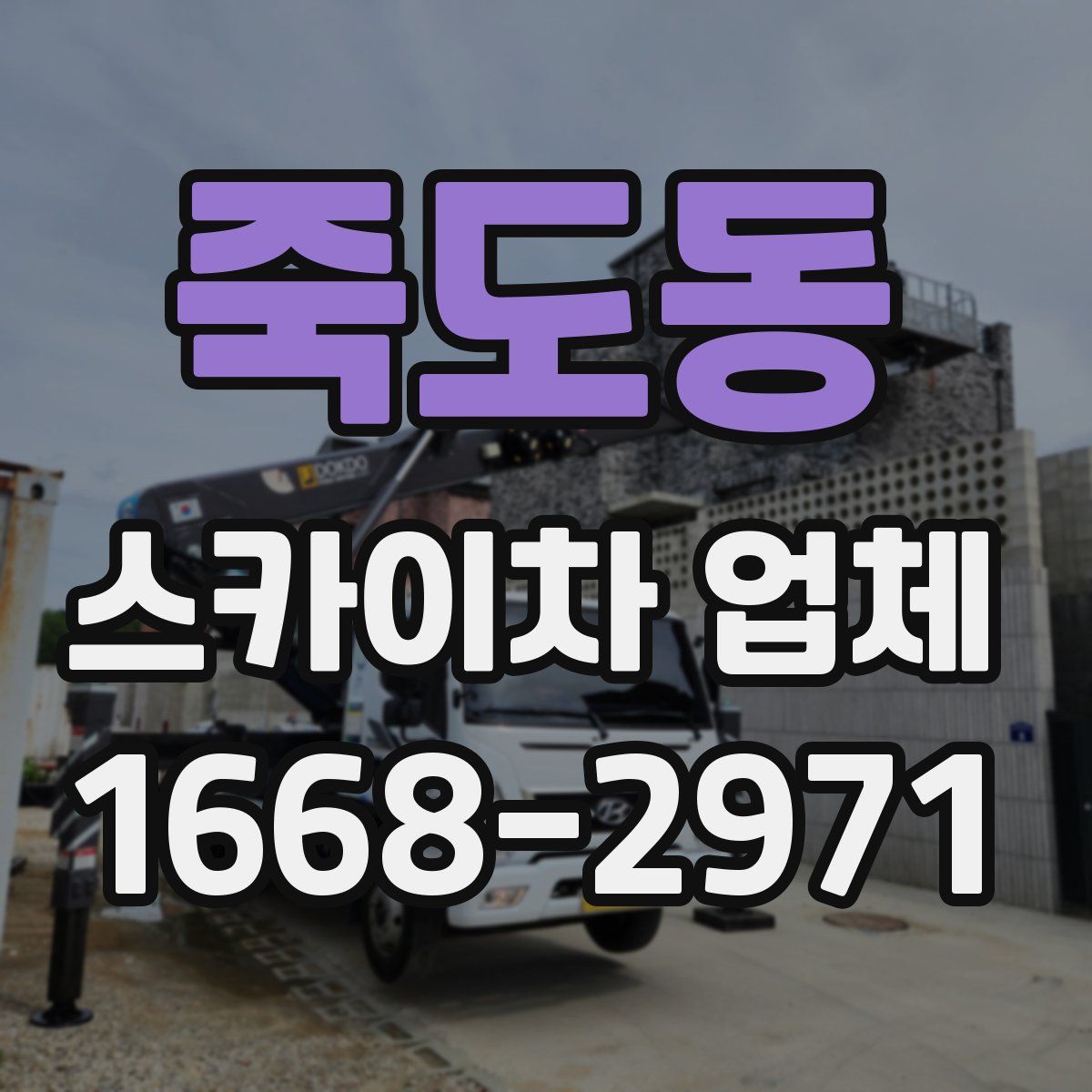 죽도동 스카이차 업체