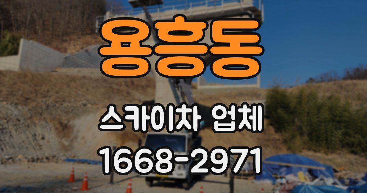 용흥동 스카이차 업체