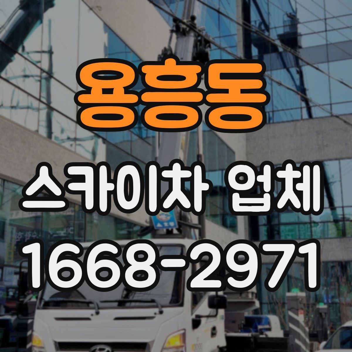 용흥동 스카이차 업체