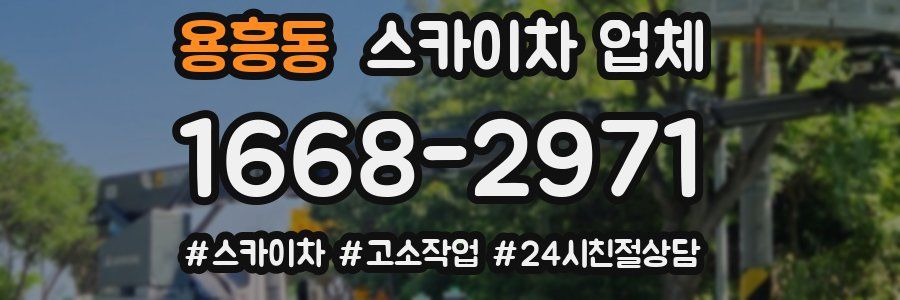 용흥동 스카이차 업체