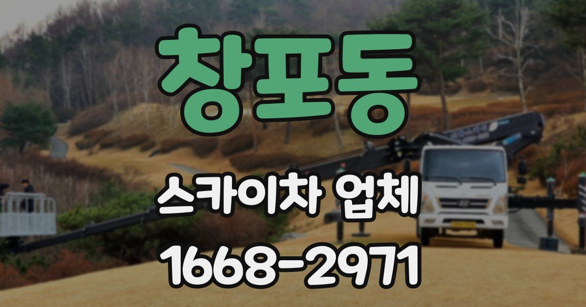 창포동 스카이차 업체