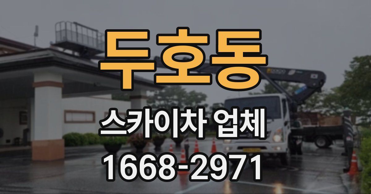 두호동 스카이차 업체
