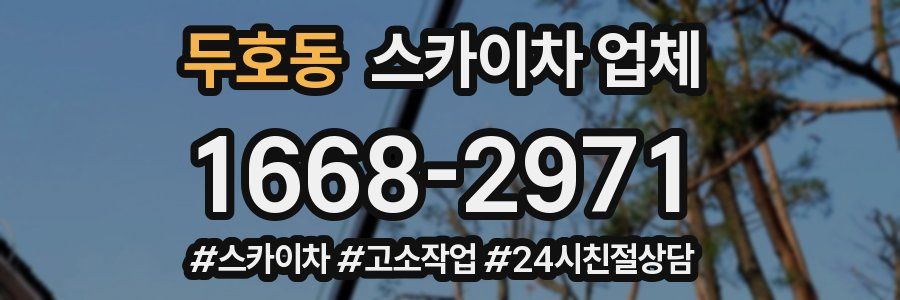 두호동 스카이차 업체