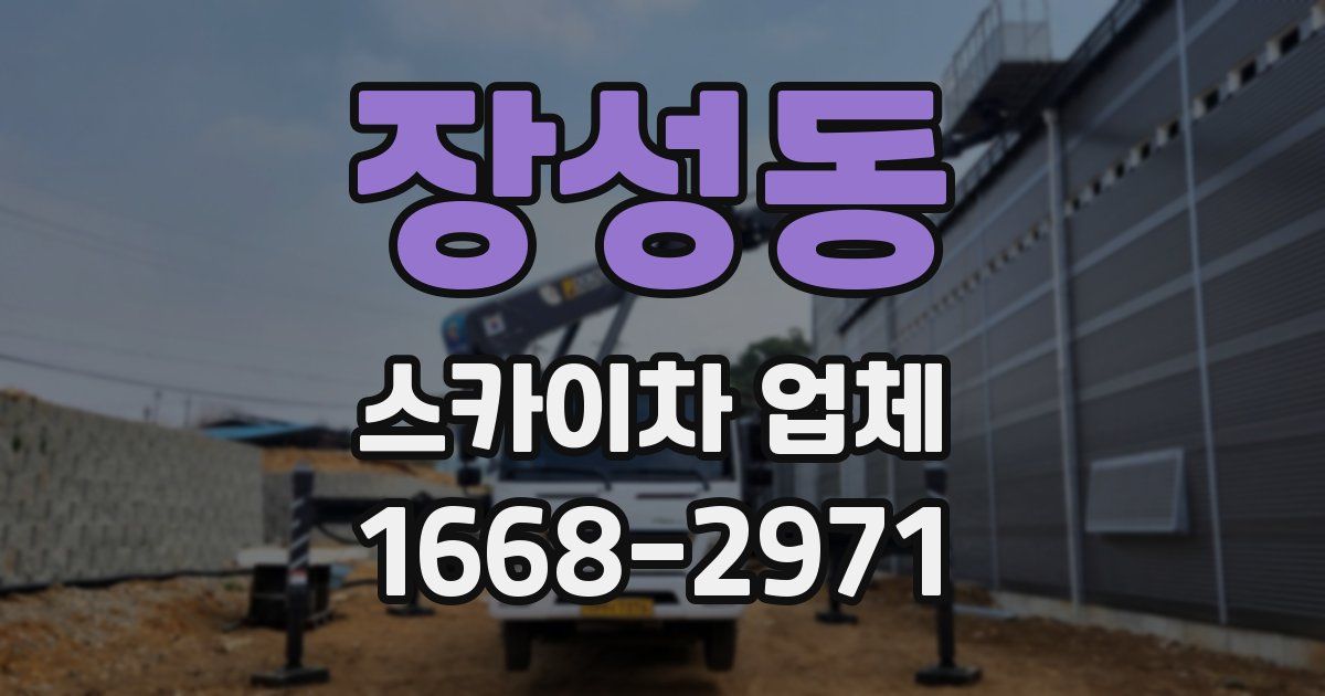 장성동 스카이차 업체