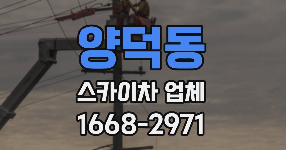 양덕동 스카이차 업체
