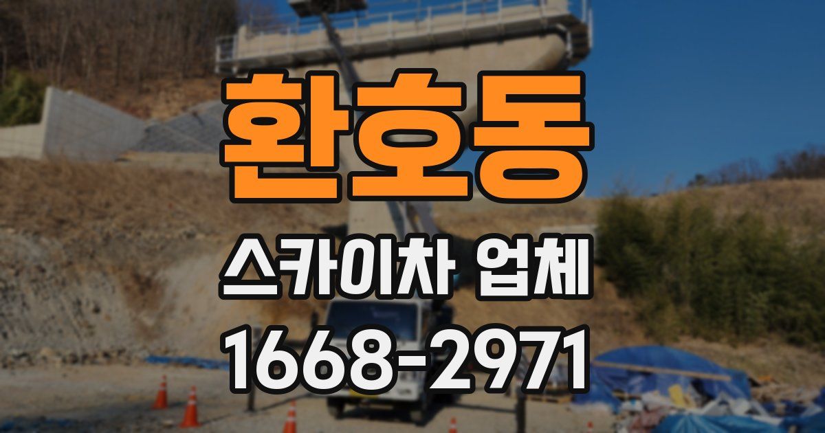 환호동 스카이차 업체