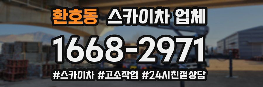 환호동 스카이차 업체