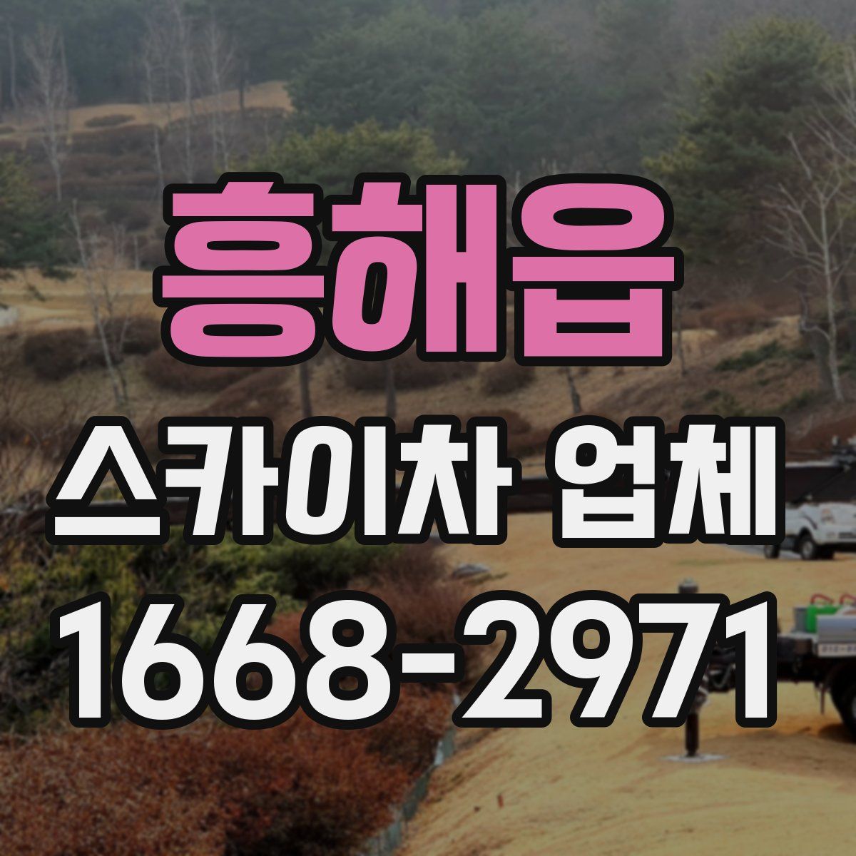 흥해읍 스카이차 업체