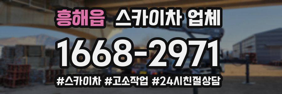 흥해읍 스카이차 업체
