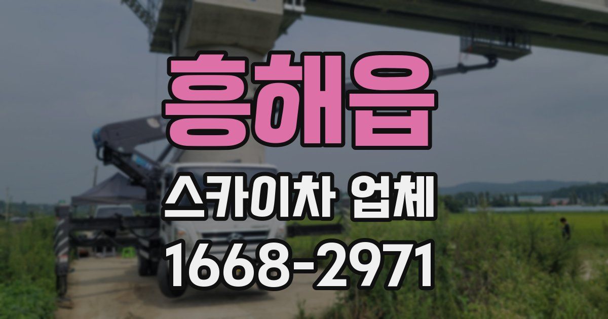 흥해읍 스카이차 업체