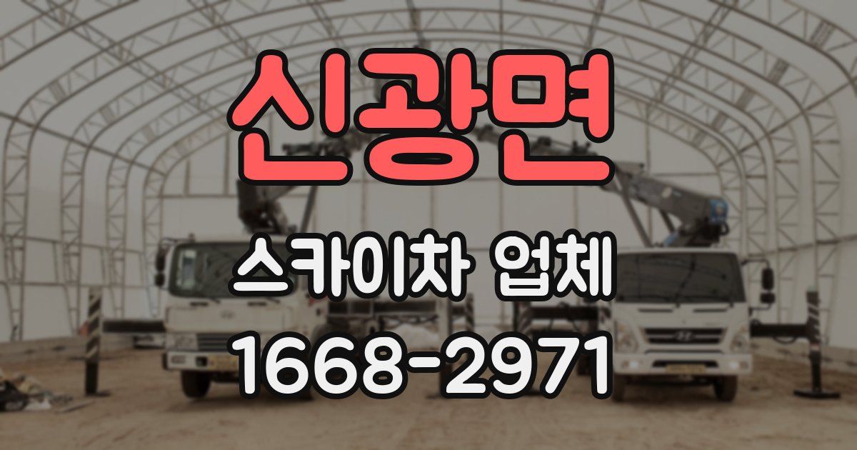 신광면 스카이차 업체