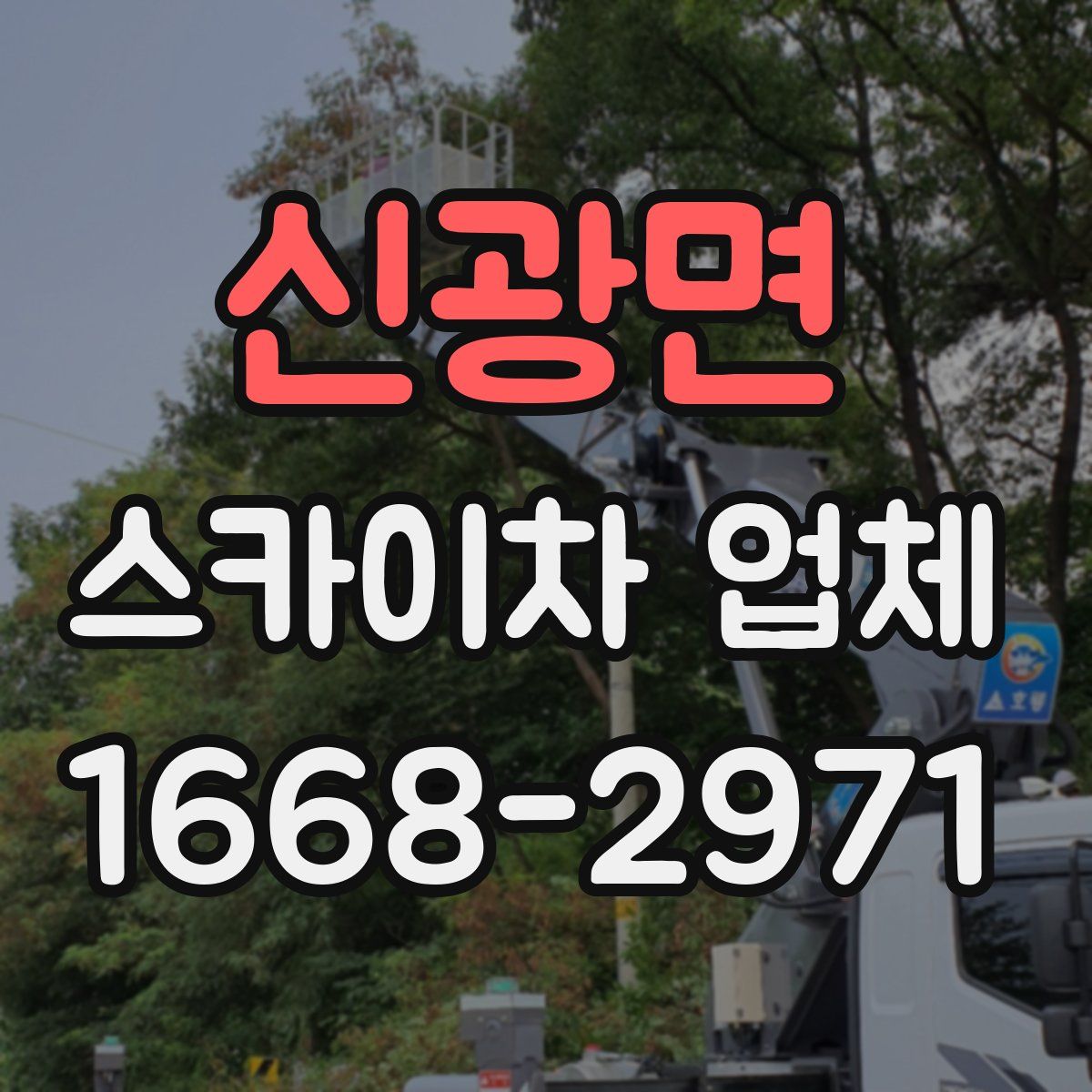 신광면 스카이차 업체