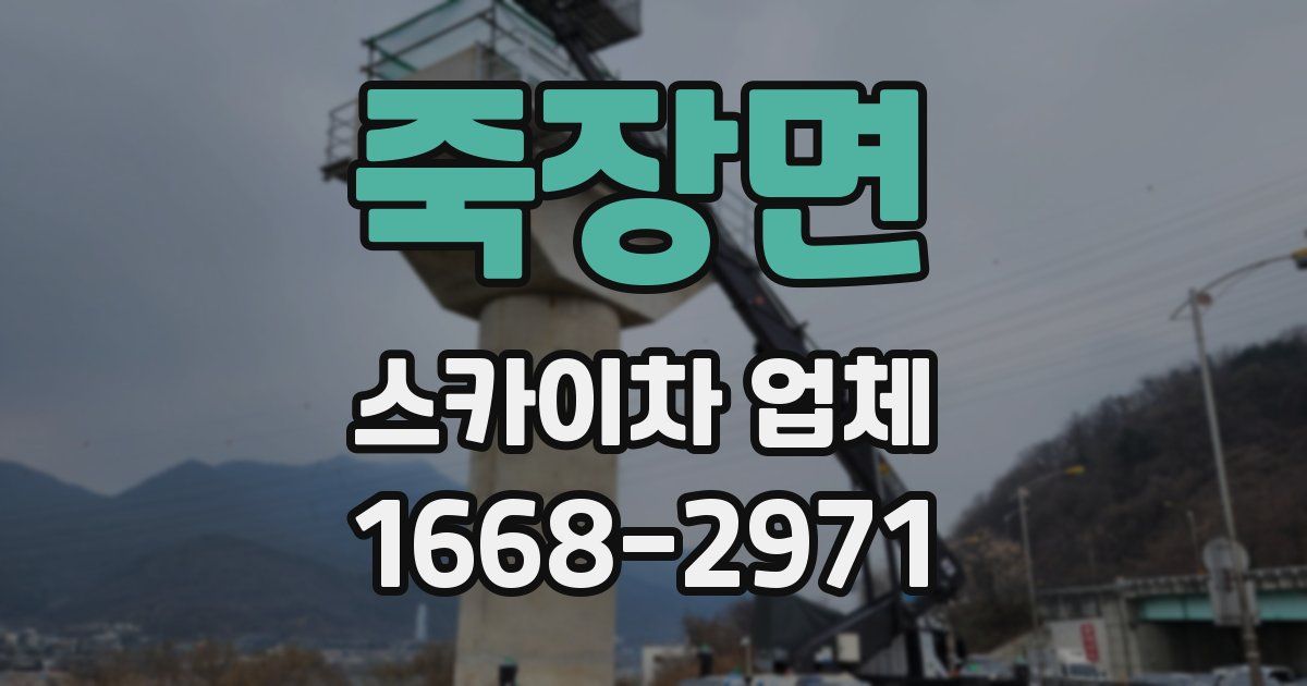 죽장면 스카이차 업체