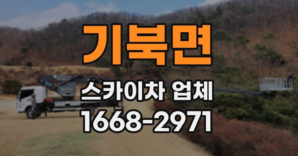 기북면 스카이차 업체