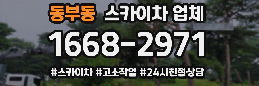 동부동 스카이차 업체