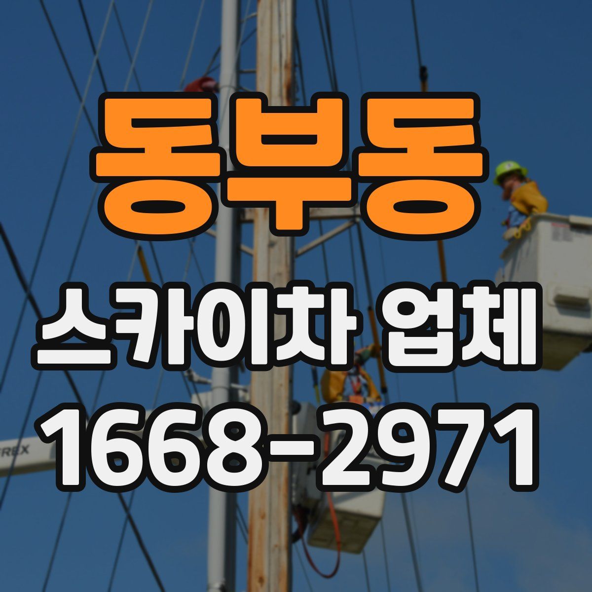 동부동 스카이차 업체