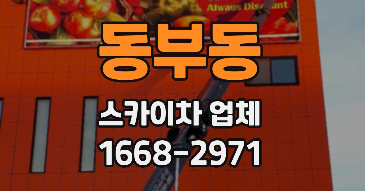 동부동 스카이차 업체