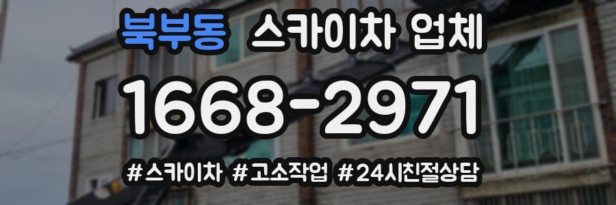 북부동 스카이차 업체