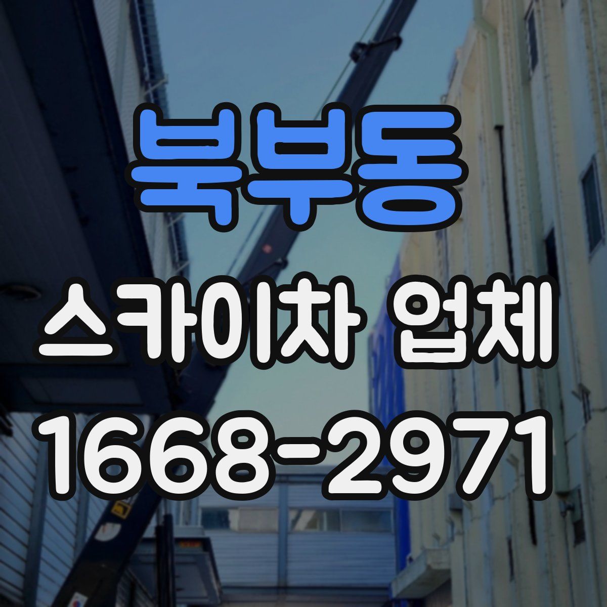 북부동 스카이차 업체