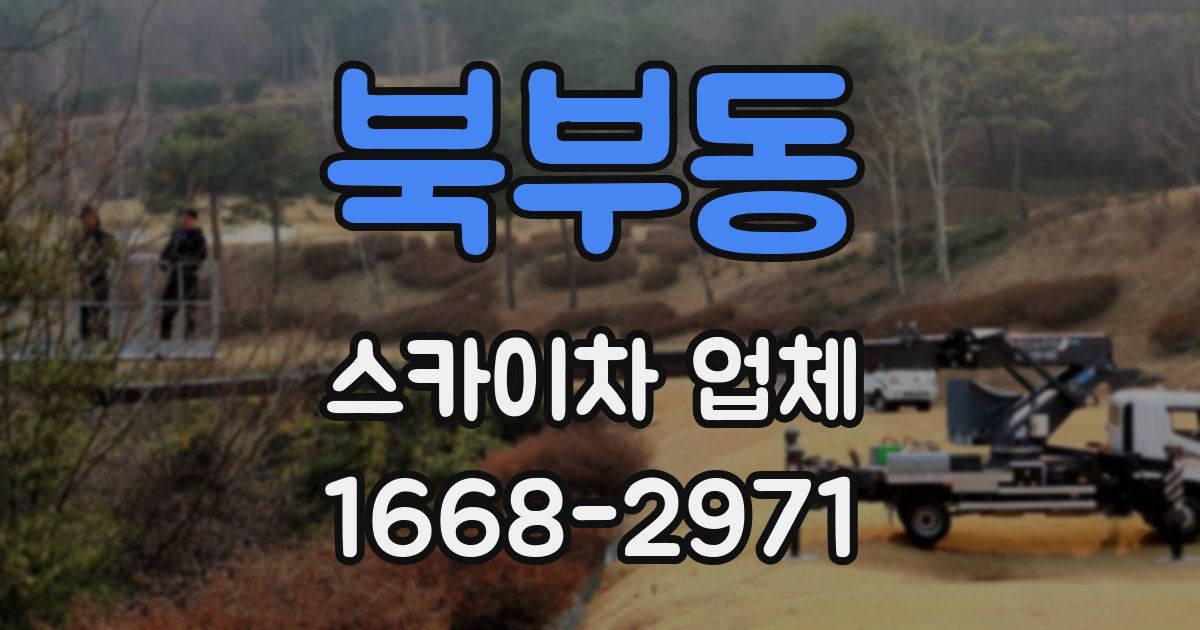 북부동 스카이차 업체