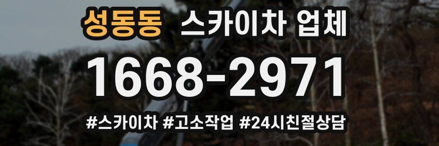 성동동 스카이차 업체