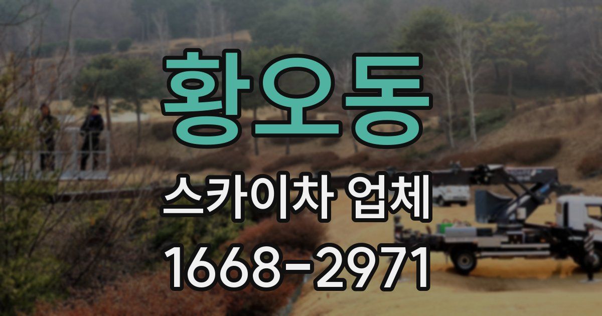 황오동 스카이차 업체