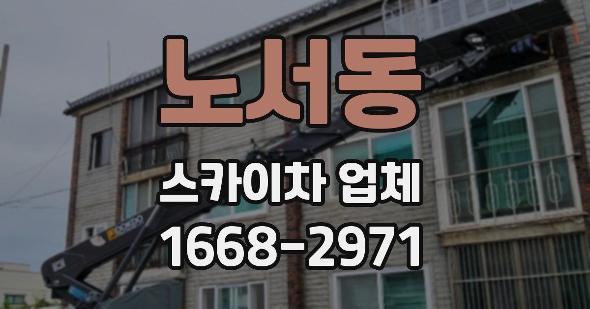 노서동 스카이차 업체