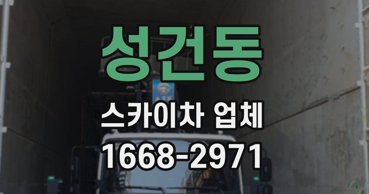 성건동 스카이차 업체