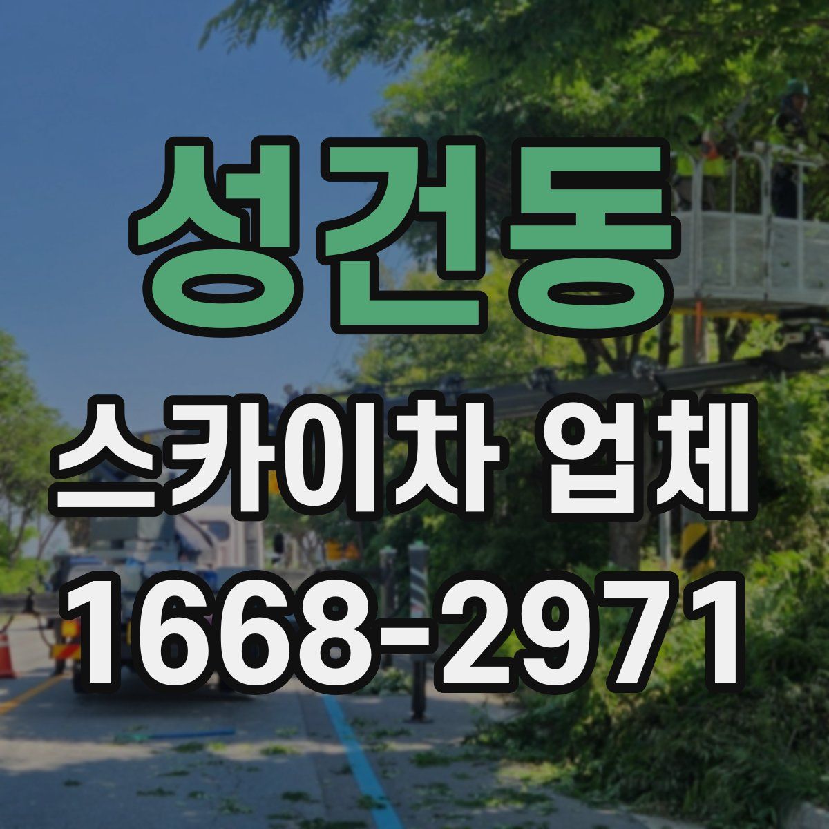 성건동 스카이차 업체