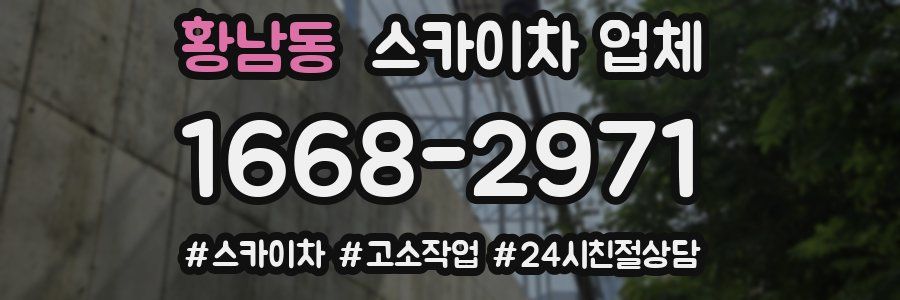 황남동 스카이차 업체