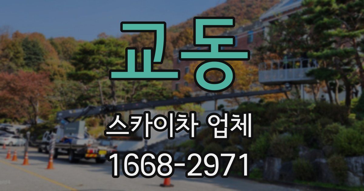 교동 스카이차 업체