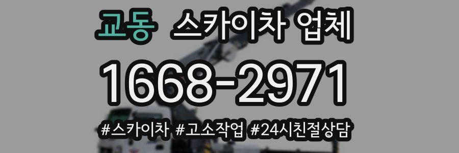 교동 스카이차 업체