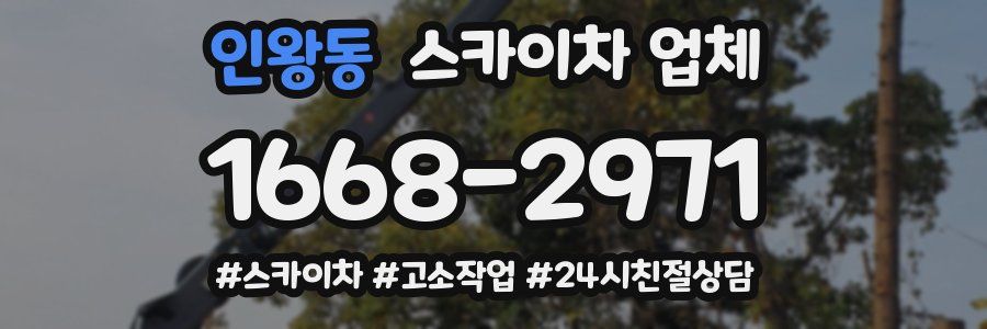 인왕동 스카이차 업체