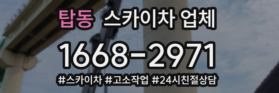 탑동 스카이차 업체