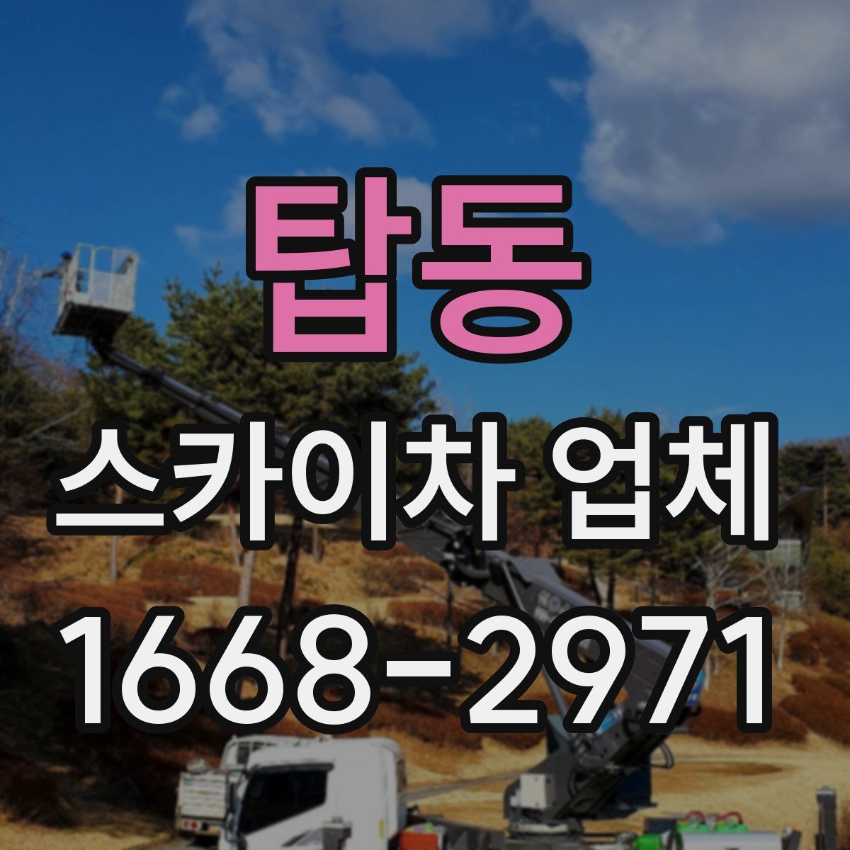 탑동 스카이차 업체
