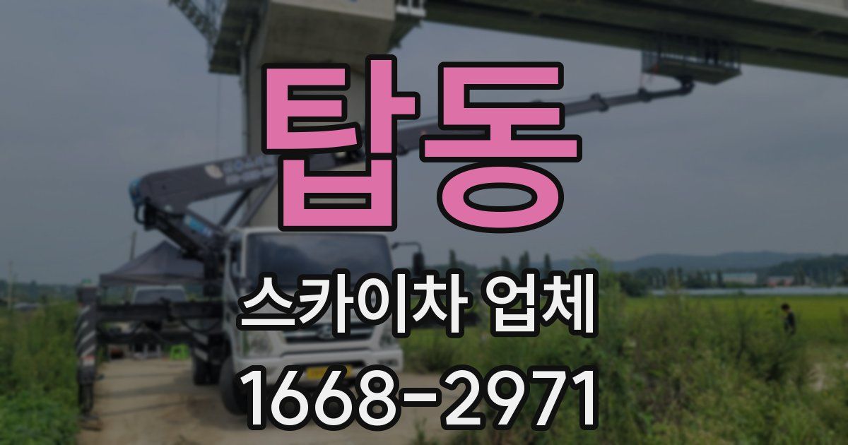 탑동 스카이차 업체