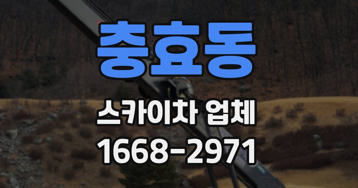 충효동 스카이차 업체