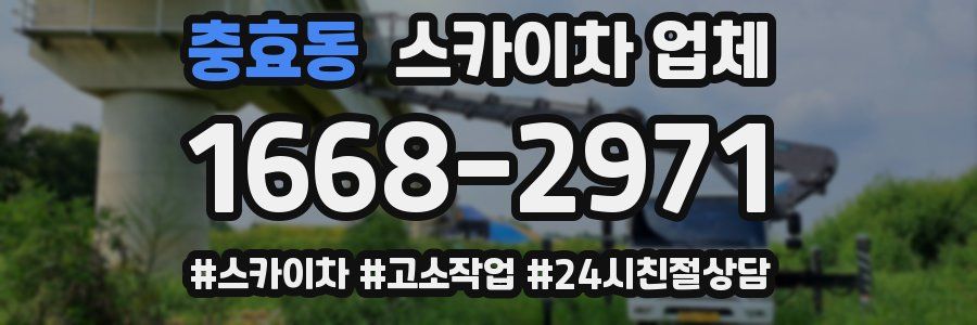 충효동 스카이차 업체