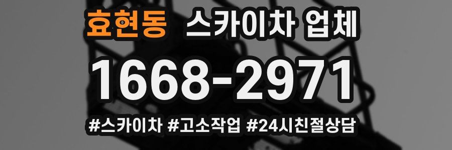 효현동 스카이차 업체