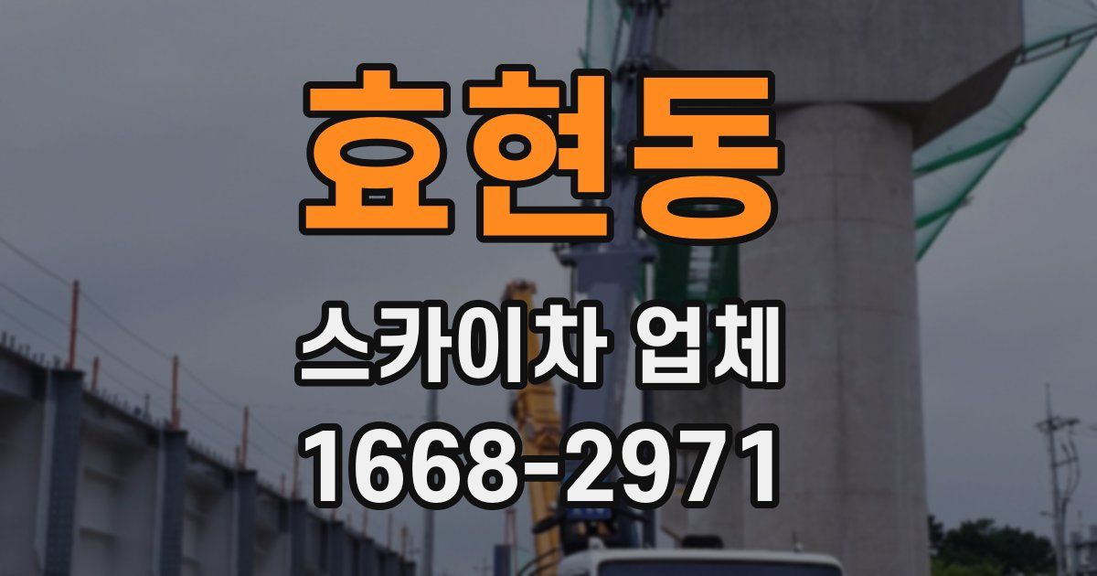효현동 스카이차 업체