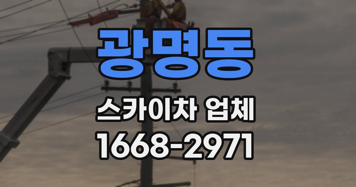 광명동 스카이차 업체