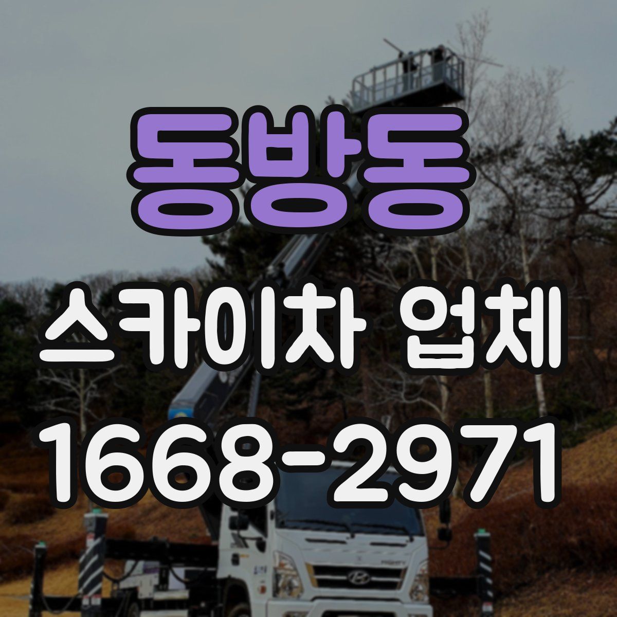 동방동 스카이차 업체